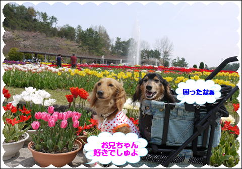 201204196.jpg