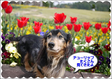 201204197.jpg