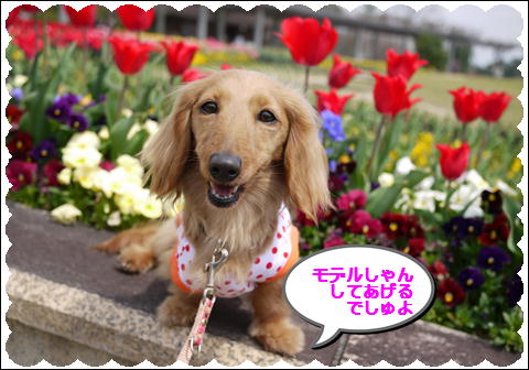 201204198.jpg