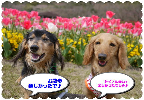 201204199.jpg
