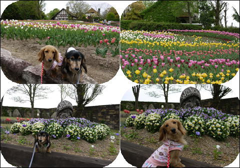 201204291.jpg