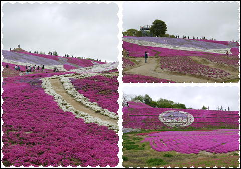 201205041.jpg