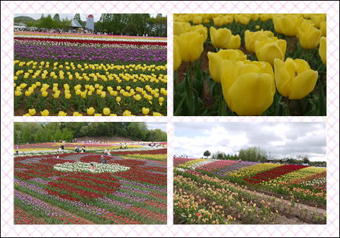 201205043.jpg