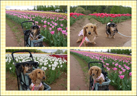 201205044.jpg