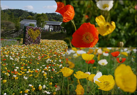 201205045.jpg