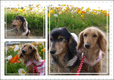 201205046.jpg
