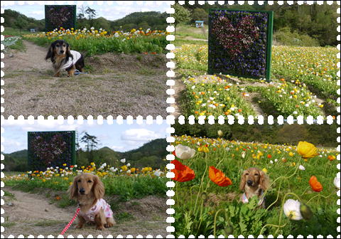 201205047.jpg
