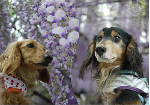 201205051.jpg