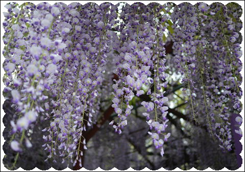 201205052.jpg