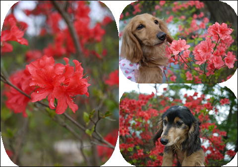 201205061.jpg