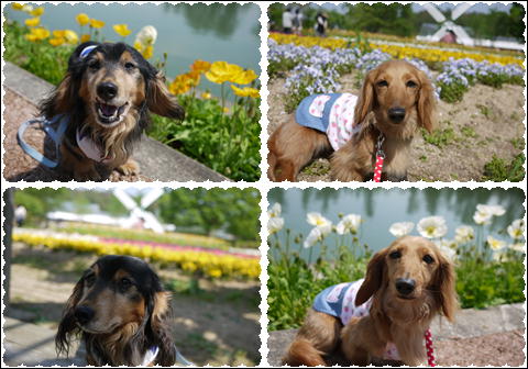 201205062.jpg