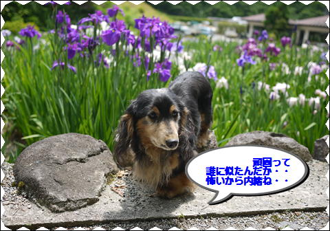 2012061010.jpg