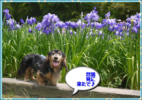 201206102.jpg