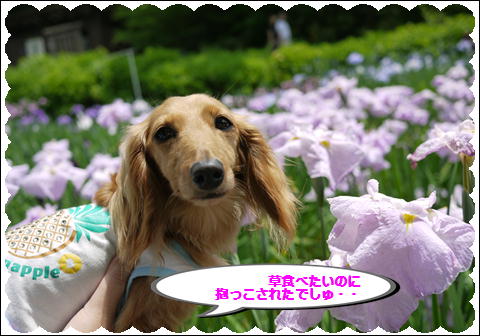 201206104.jpg