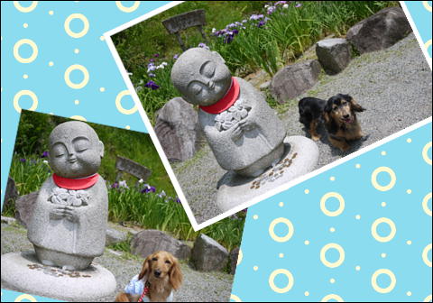 201206107.jpg