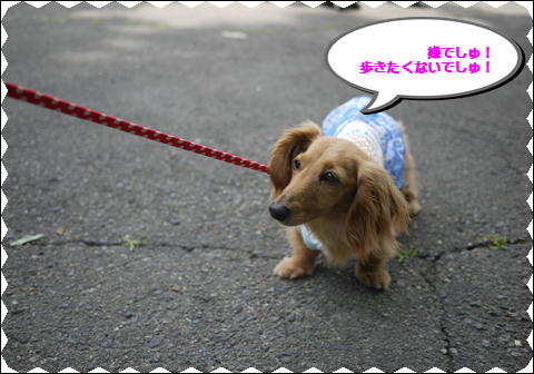 201206108.jpg