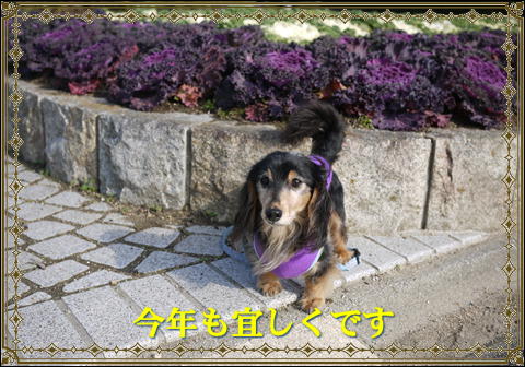 挨拶