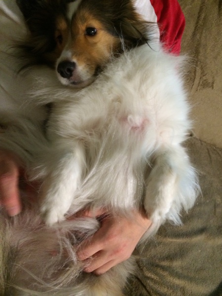 fc2blog_201411271136387c3.jpg
