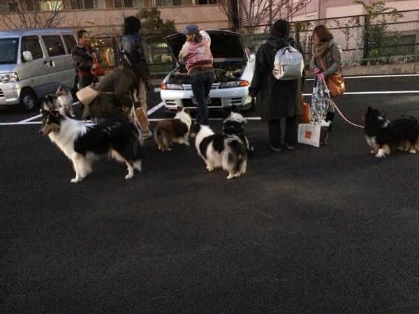 fc2blog_20141207161647cd3.jpg
