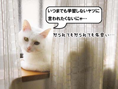 cat3930
