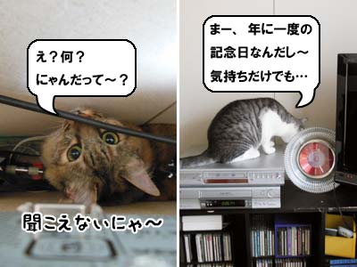 cat3935