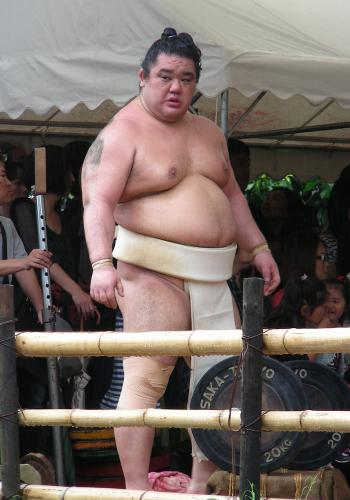 渋いぞ! 若の里関
