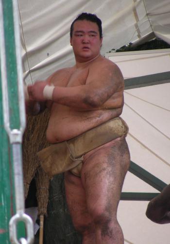 稀勢の里関
