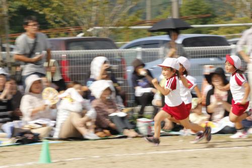 _MG_8668_convert_20121010112804.jpg