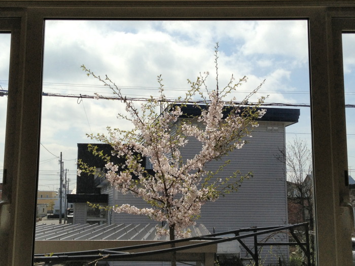 01_20130522084409.jpg
