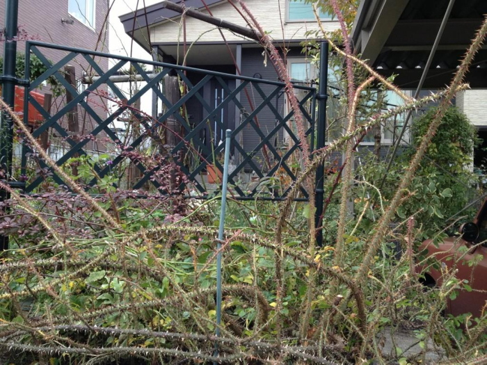 02_20121101170554.jpg