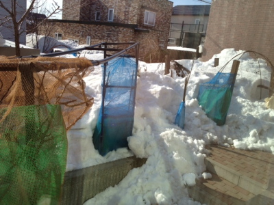 02_20130331085406.jpg