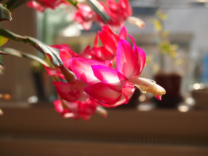 0320121123.jpg