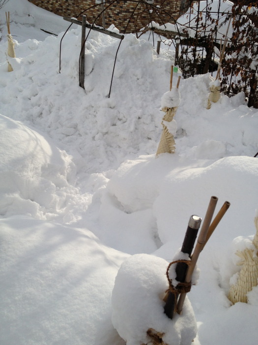 03_20130106164902.jpg