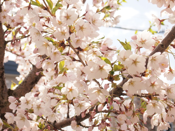 03_20130522084413.jpg