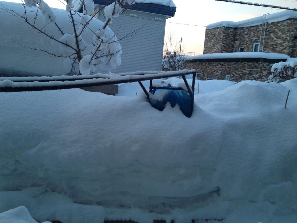 1_20130220231947.jpg