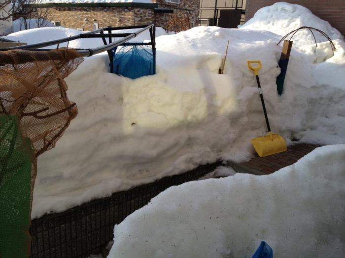 1_20130308101359.jpg