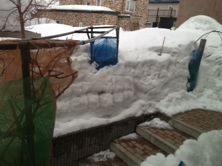 20130318.jpg
