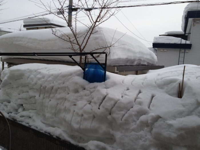 2_20130308101400.jpg