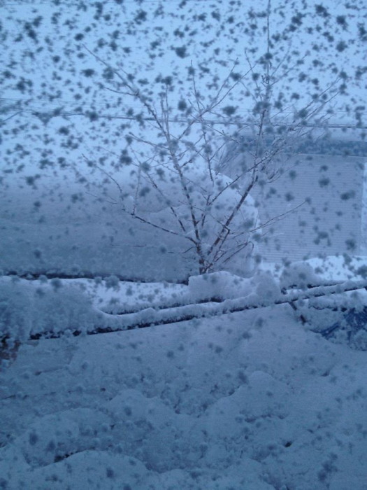 2_20130309090614.jpg