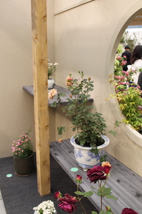 IMG_0102to20120514.jpg