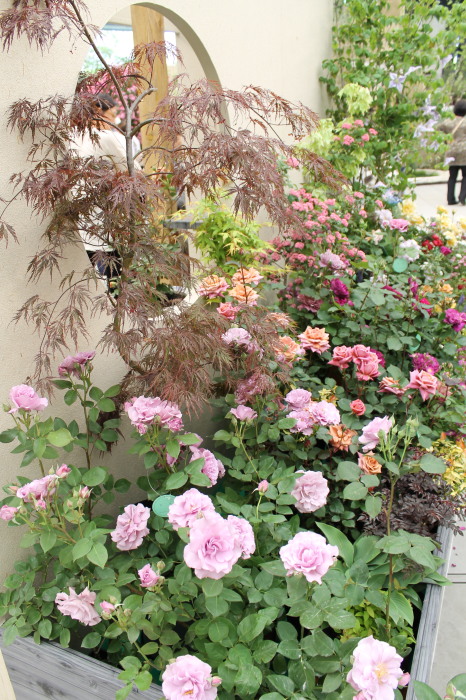 IMG_0105to20120514.jpg