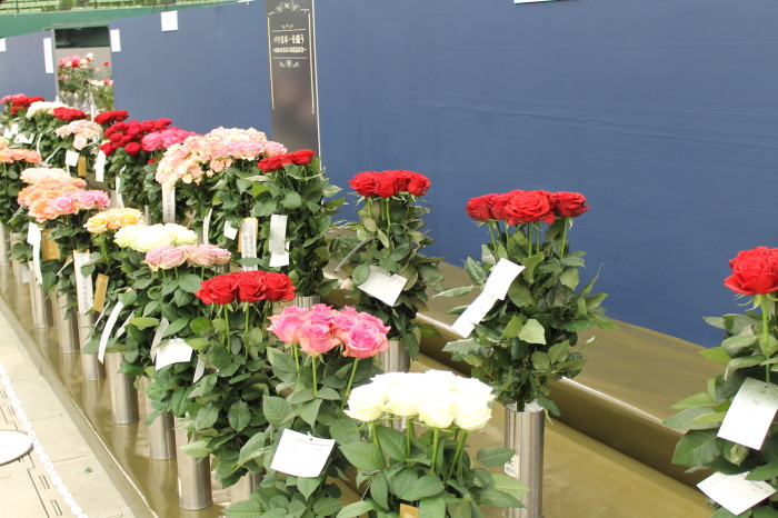 IMG_023220120514.jpg