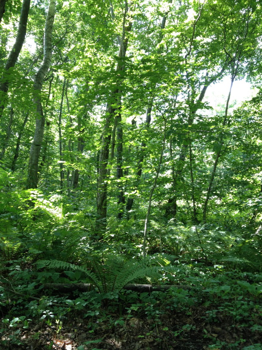 IMG_265320120827.jpg