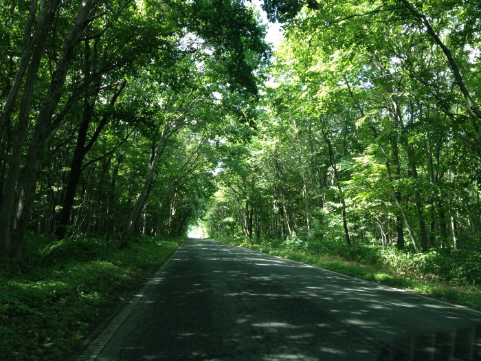 IMG_265620120827.jpg