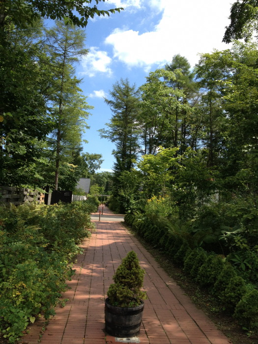 IMG_265820120827.jpg