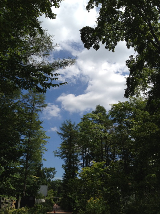 IMG_265920120827.jpg