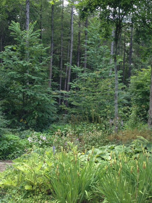 IMG_268320120827.jpg