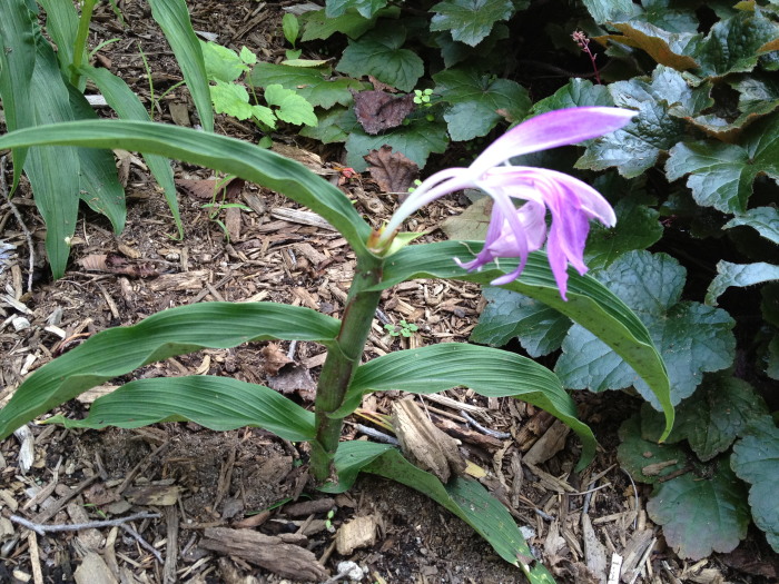 IMG_268420120827.jpg
