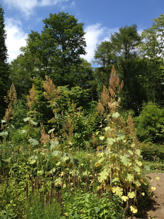 IMG_268920120827.jpg