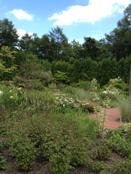 IMG_270120120827.jpg